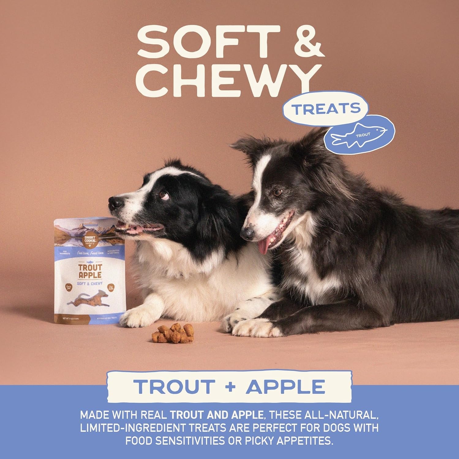 All Natural Dog Treats - Trout & Apple - Training Treats for Dogs with Allergies, Sensitive Stomachs - Soft Dog Treats, Grain Free, Chewy, Human-Grade, Made in USA - 5Oz, Pack of 3