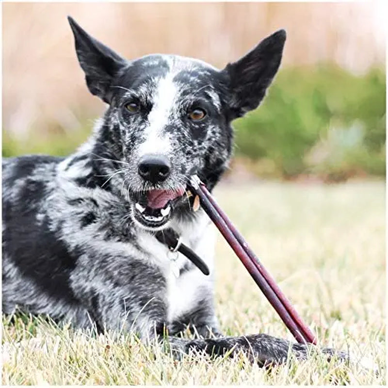 All-Natural Bully Beef Sticks (16Oz): Healthy, Odorless, Fully Digestible Dog Chews