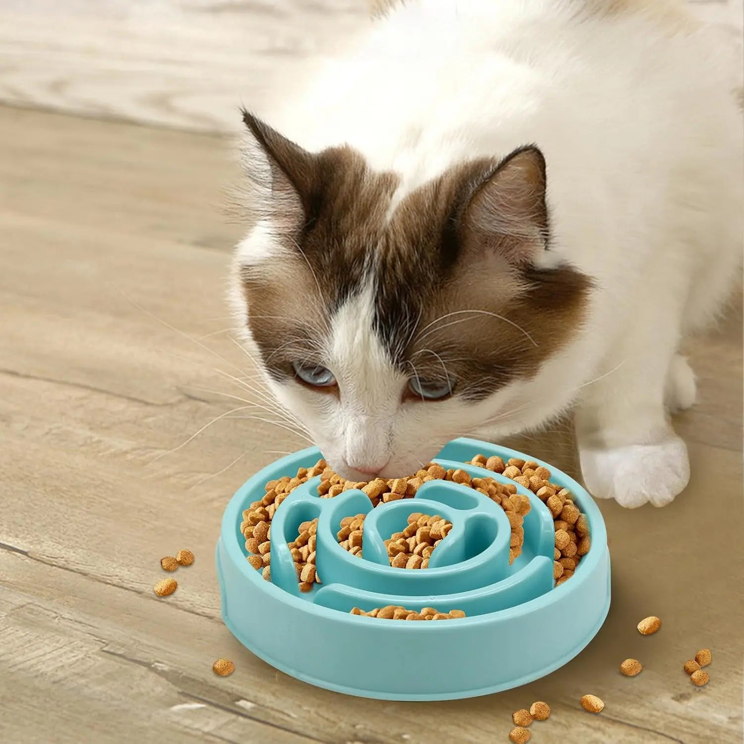 Plastic Dog Slow Feeder Bowl with Anti-Choke Design for Safe Eating, Puzzle Snack Bowl to Protect Neck, Essential Pet Feeding Accessory
