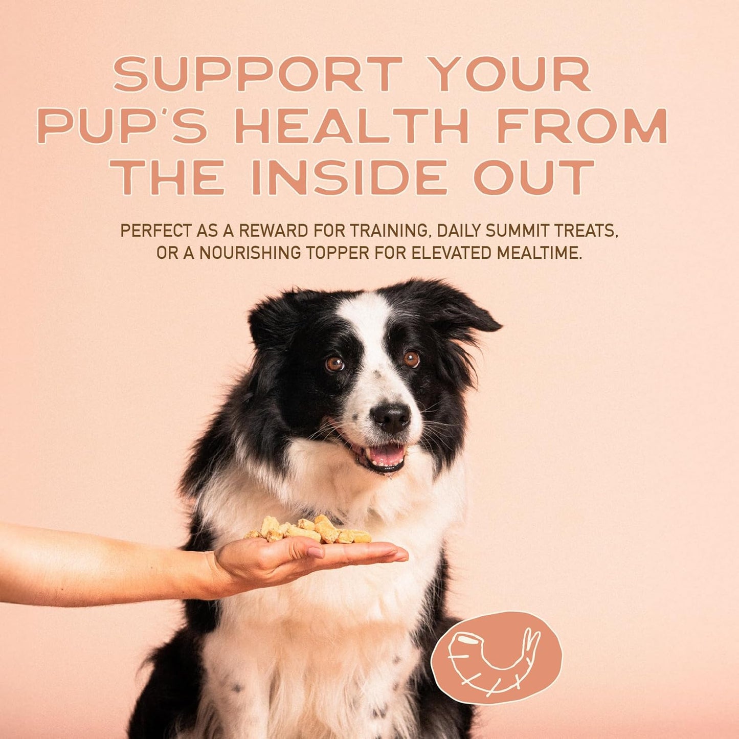 All Natural Dog Treats - Shrimp & Coconut - Training Treats for Dogs with Allergies, Sensitive Stomachs - Soft Dog Treats, Chewy, Grain Free, Human-Grade, Made in USA - 5Oz, Pack of 3