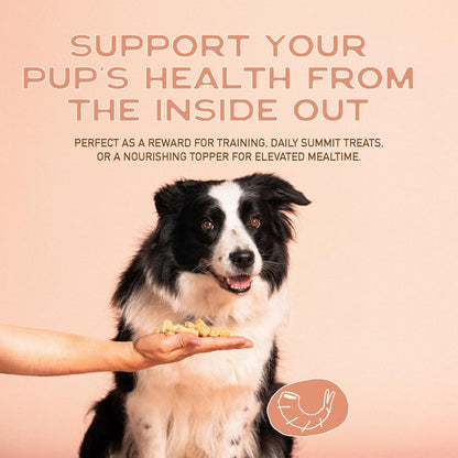 All Natural Dog Treats - Shrimp & Coconut - Training Treats for Dogs with Allergies, Sensitive Stomachs - Soft Dog Treats, Chewy, Grain Free, Human-Grade, Made in USA - 5Oz, Pack of 3