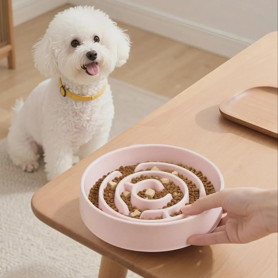 Plastic Dog Slow Feeder Bowl with Anti-Choke Design for Safe Eating, Puzzle Snack Bowl to Protect Neck, Essential Pet Feeding Accessory