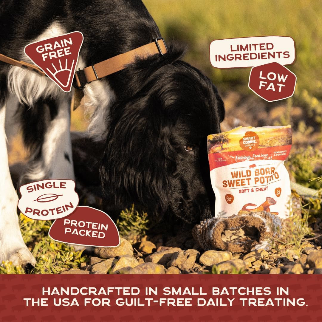 All Natural Dog Treats - Wild Boar & Sweet Potato - Training Treats for Dogs with Allergies, Sensitive Stomachs - Soft Dog Treats, Chewy, Grain Free, Human-Grade, Made in USA - 5Oz Bag