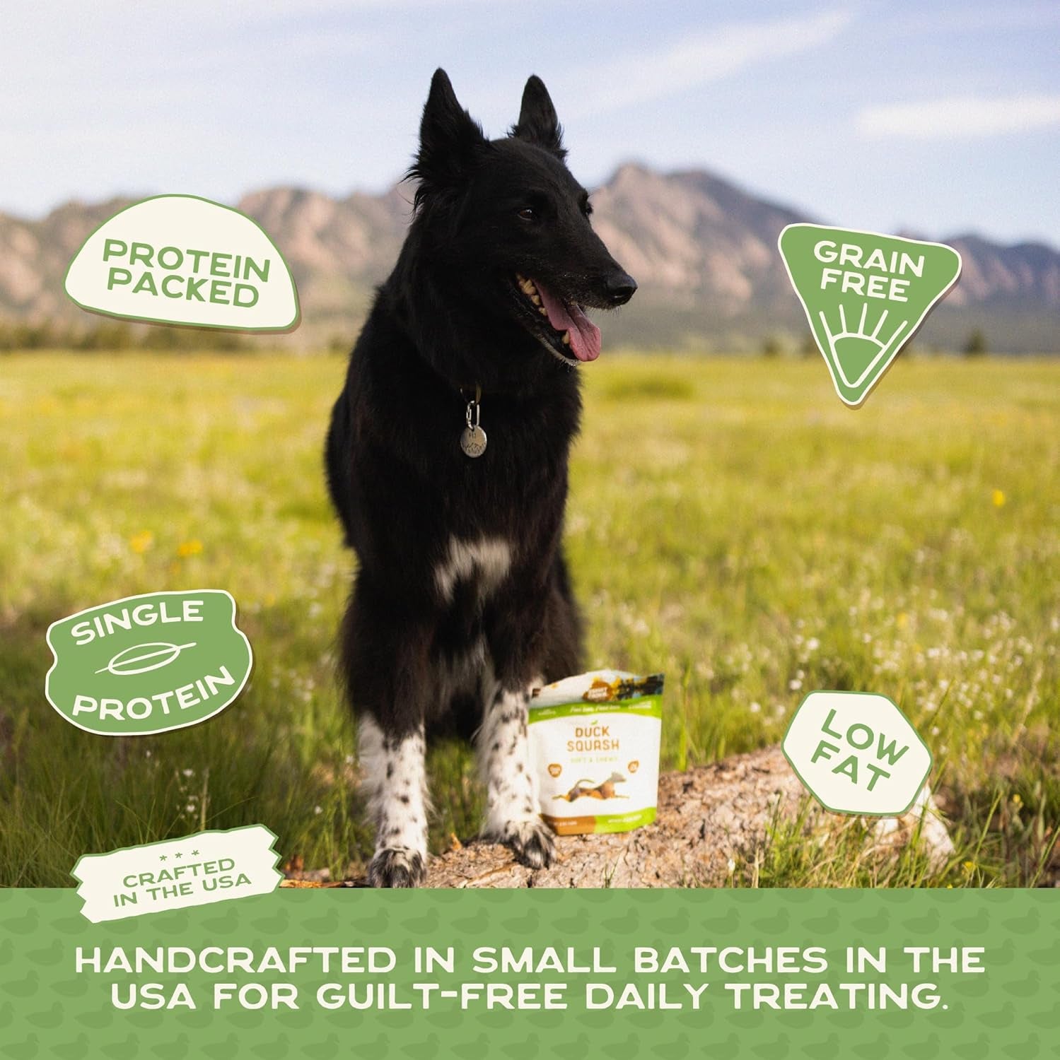 All Natural Dog Treats - Duck & Squash - Training Treats for Dogs & Puppies with Allergies, Sensitive Stomachs - Soft Dog Treats, Chewy, Grain Free, Made in USA - 5Oz, Pack of 3