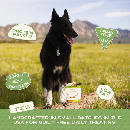 All Natural Dog Treats - Duck & Squash - Training Treats for Dogs & Puppies with Allergies, Sensitive Stomachs - Soft Dog Treats, Chewy, Grain Free, Made in USA - 5Oz, Pack of 3
