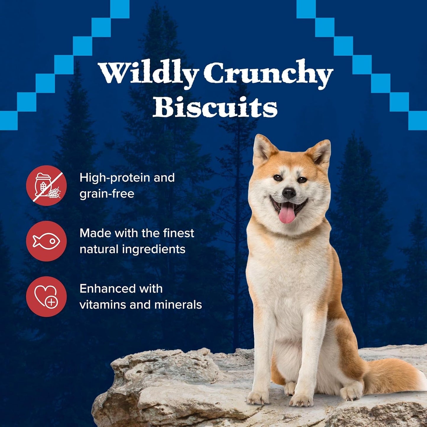 Wilderness Trail Treats High Protein Grain Free Dog Biscuits Crunchy Dog Treats, Salmon Recipe, 10-Oz Bag