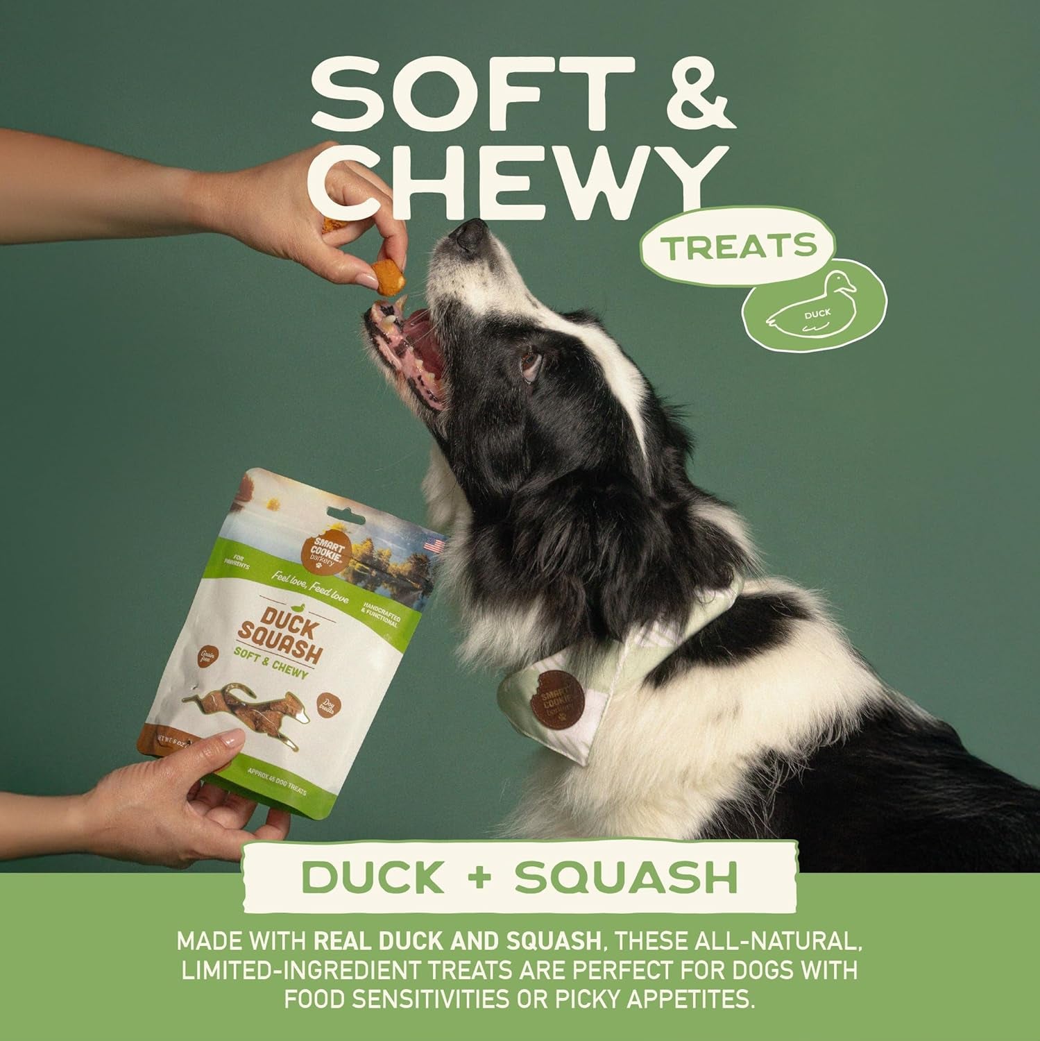 All Natural Dog Treats - Duck & Squash - Training Treats for Dogs & Puppies with Allergies, Sensitive Stomachs - Soft Dog Treats, Chewy, Grain Free, Made in USA - 5Oz, Pack of 3