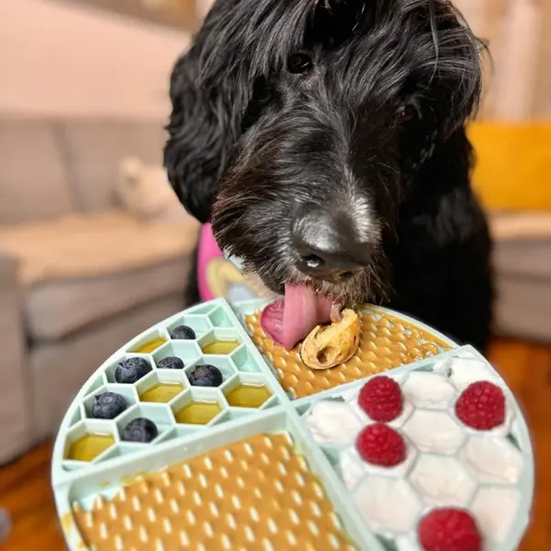 2Pk Superberry Snoot Buddy Budder Peanut Butter Dog Treats 17Oz + 4Oz Squeeze Pouch- Unsalted Peanuts & Strawberries, Natural, 12 Months, Single Item