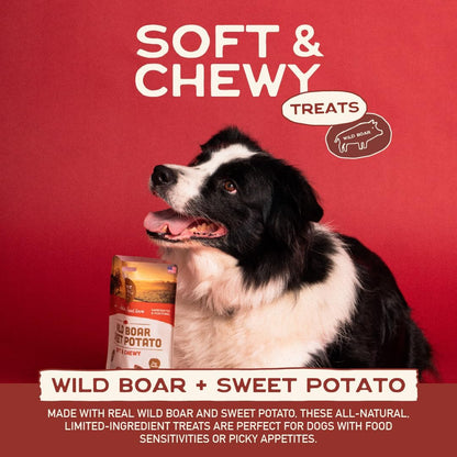 All Natural Dog Treats - Wild Boar & Sweet Potato - Training Treats for Dogs with Allergies, Sensitive Stomachs - Soft Dog Treats, Chewy, Grain Free, Human-Grade, Made in USA - 5Oz Bag