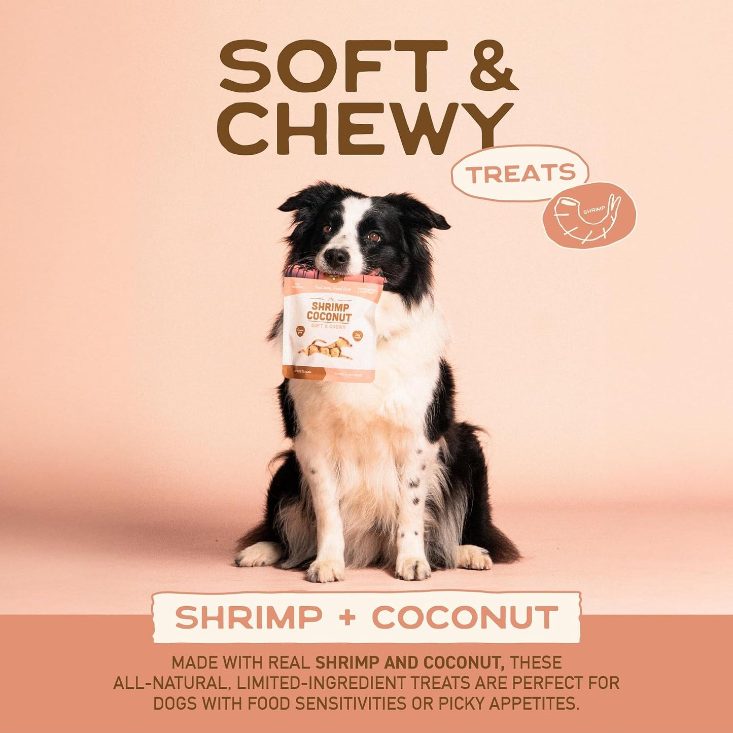 All Natural Dog Treats - Shrimp & Coconut - Training Treats for Dogs with Allergies, Sensitive Stomachs - Soft Dog Treats, Chewy, Grain Free, Human-Grade, Made in USA - 5Oz, Pack of 3