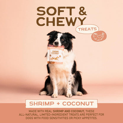 All Natural Dog Treats - Shrimp & Coconut - Training Treats for Dogs with Allergies, Sensitive Stomachs - Soft Dog Treats, Chewy, Grain Free, Human-Grade, Made in USA - 5Oz, Pack of 3
