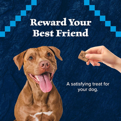 Wilderness Trail Treats High Protein Grain Free Dog Biscuits Crunchy Dog Treats, Duck Recipe, 10-Oz Bag