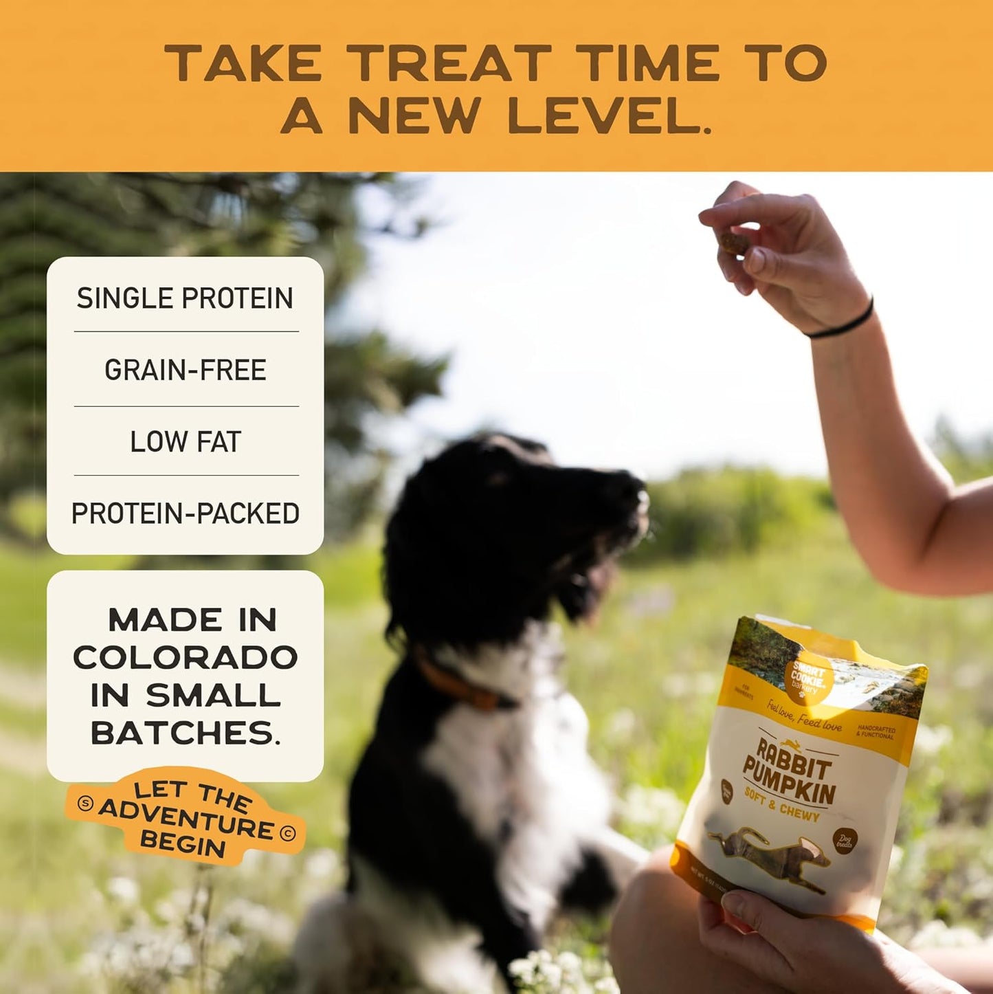 All Natural Dog Treats - Rabbit & Pumpkin - Training Treats for Dogs & Puppies with Allergies, Sensitive Stomachs - Soft Dog Treats, Grain Free, Chewy, Human-Grade, Made in USA - 5Oz Bag