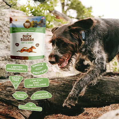 All Natural Dog Treats - Duck & Squash - Training Treats for Dogs & Puppies with Allergies, Sensitive Stomachs - Soft Dog Treats, Chewy, Grain Free, Made in USA - 5Oz, Pack of 3