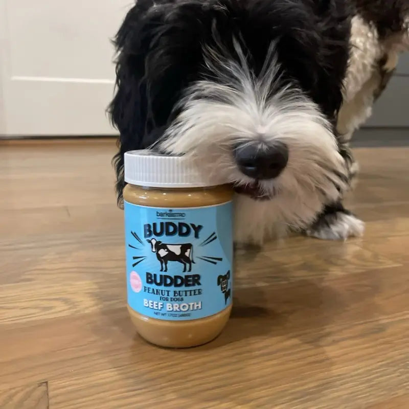 2Pk Beef Broth Budder Peanut Butter for Dogs - 17Oz + 4Oz Squeeze Pouch - Unsalted Beef Broth Treat, All Natural with No Added Sugar or Salt, Freezing Optional Protein Dog Food Meals