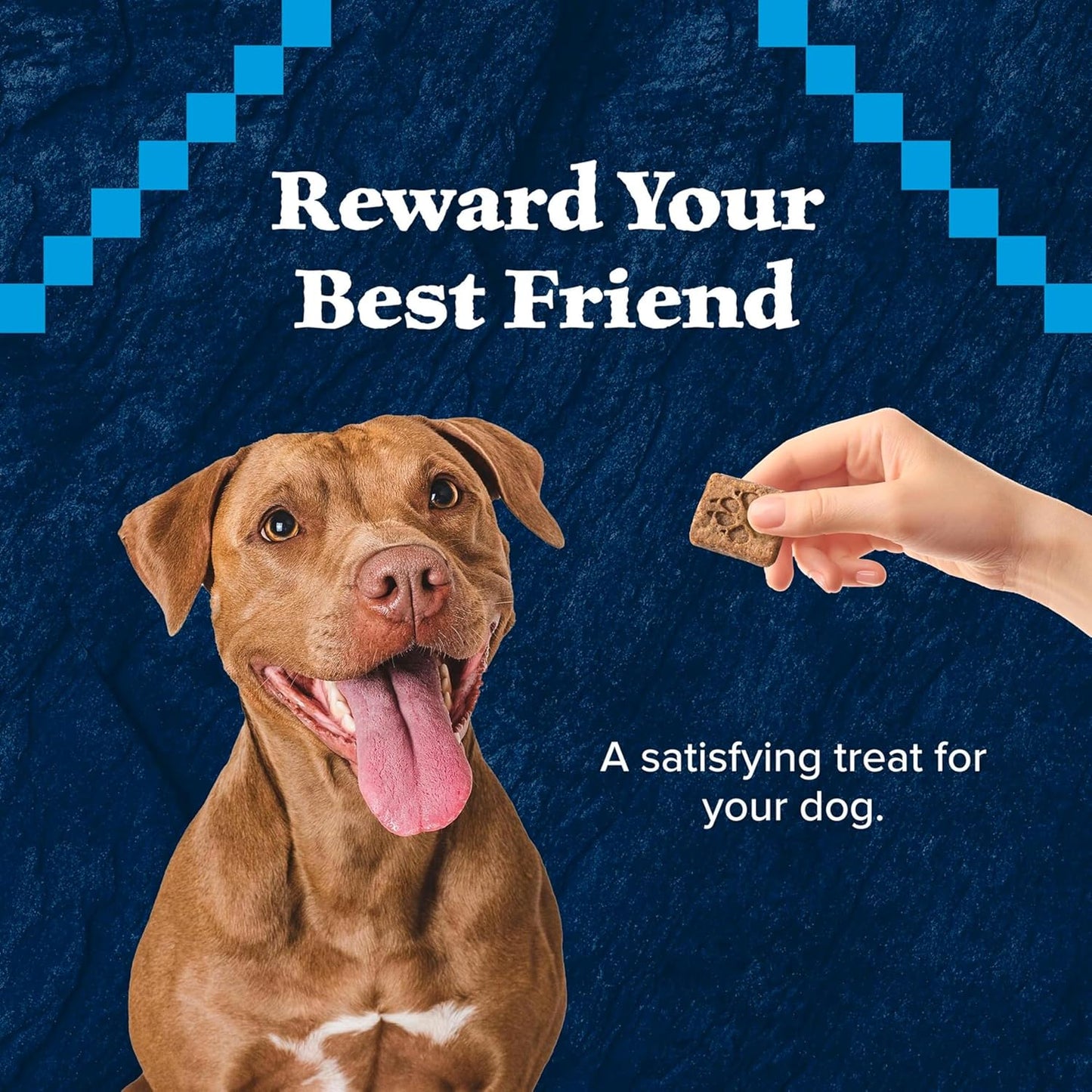 Wilderness Trail Treats High Protein Grain Free Dog Biscuits Crunchy Dog Treats, Salmon Recipe, 10-Oz Bag