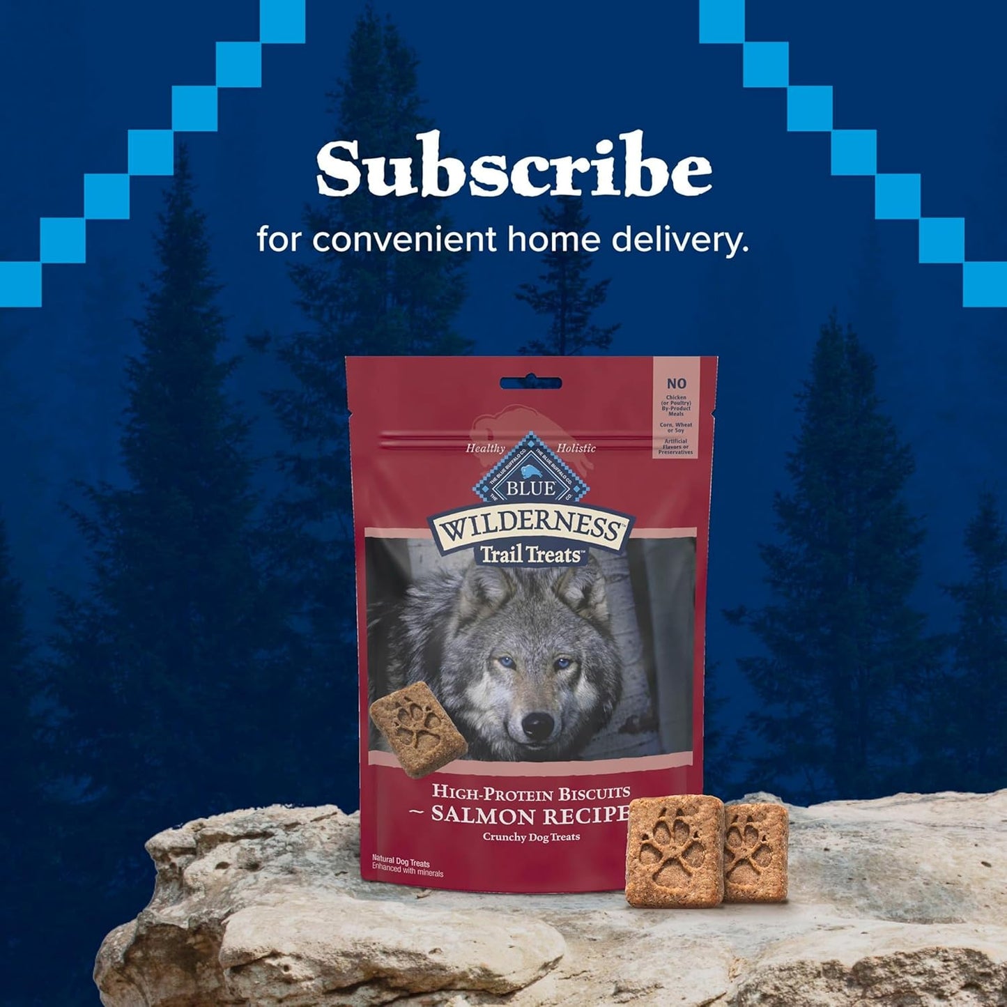 Wilderness Trail Treats High Protein Grain Free Dog Biscuits Crunchy Dog Treats, Salmon Recipe, 10-Oz Bag