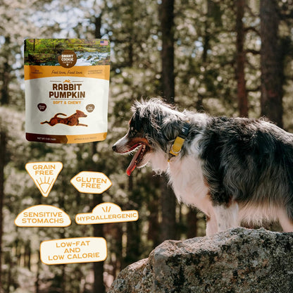 All Natural Dog Treats - Rabbit & Pumpkin - Training Treats for Dogs & Puppies with Allergies, Sensitive Stomachs - Soft Dog Treats, Grain Free, Chewy, Human-Grade, Made in USA - 5Oz Bag