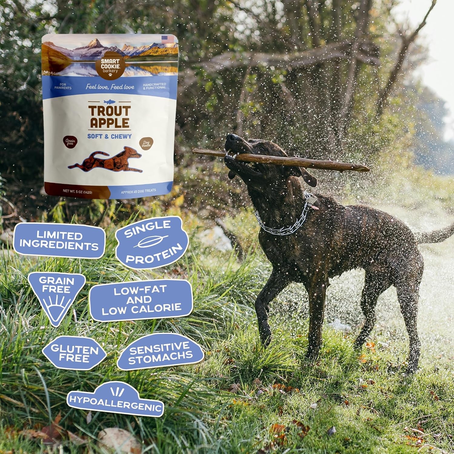All Natural Dog Treats - Trout & Apple - Training Treats for Dogs with Allergies, Sensitive Stomachs - Soft Dog Treats, Grain Free, Chewy, Human-Grade, Made in USA - 5Oz, Pack of 3