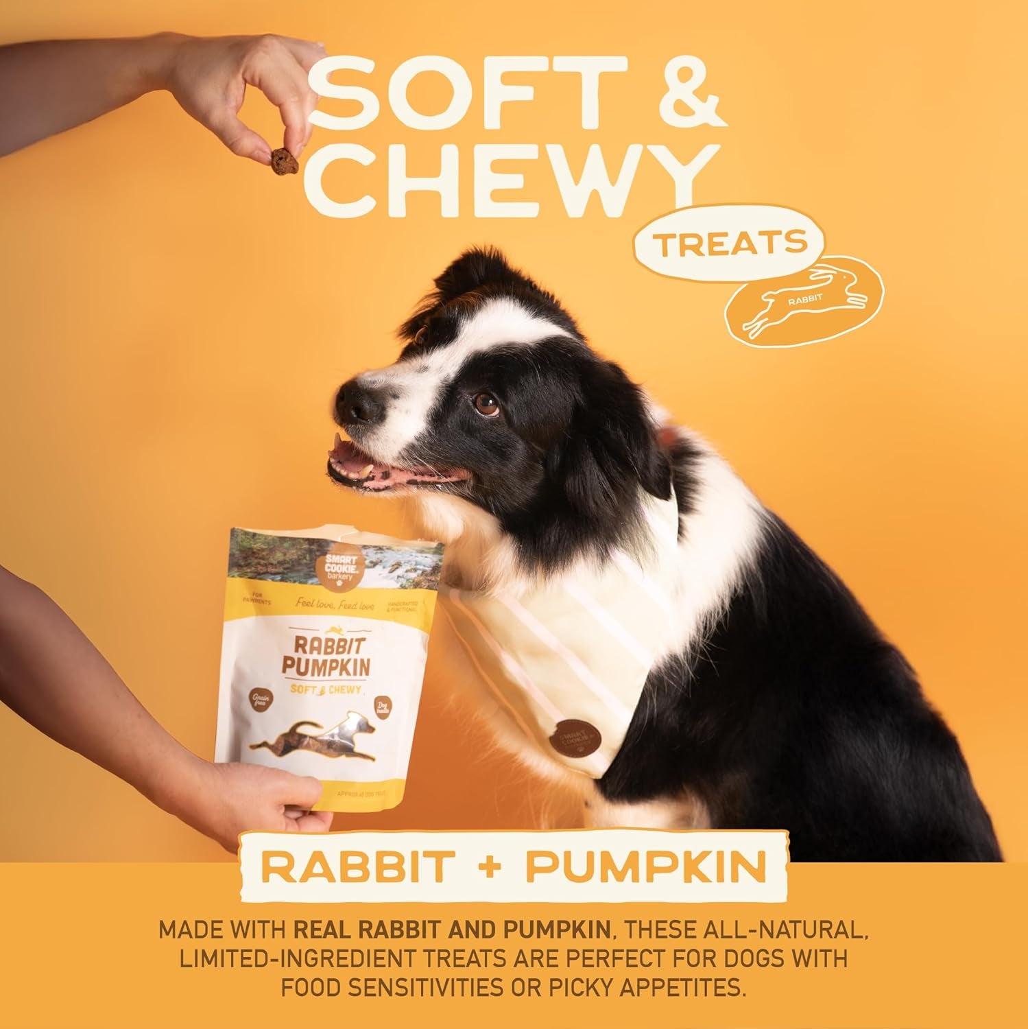 All Natural Soft Dog Treats - 4 Flavor Variety Pack (5Oz Each) - Healthy Dog Treats for Dogs & Puppies with Allergies, Sensitive Stomachs - Chewy, Grain Free, Made in USA
