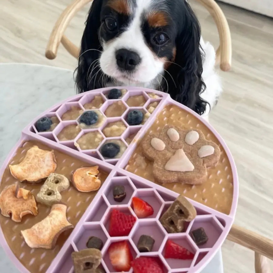 2Pk Beehive Buzz Buddy Budder, All Natural Dog Peanut Butter, Perfect for Enrichment, Treating, Training, Traveling
