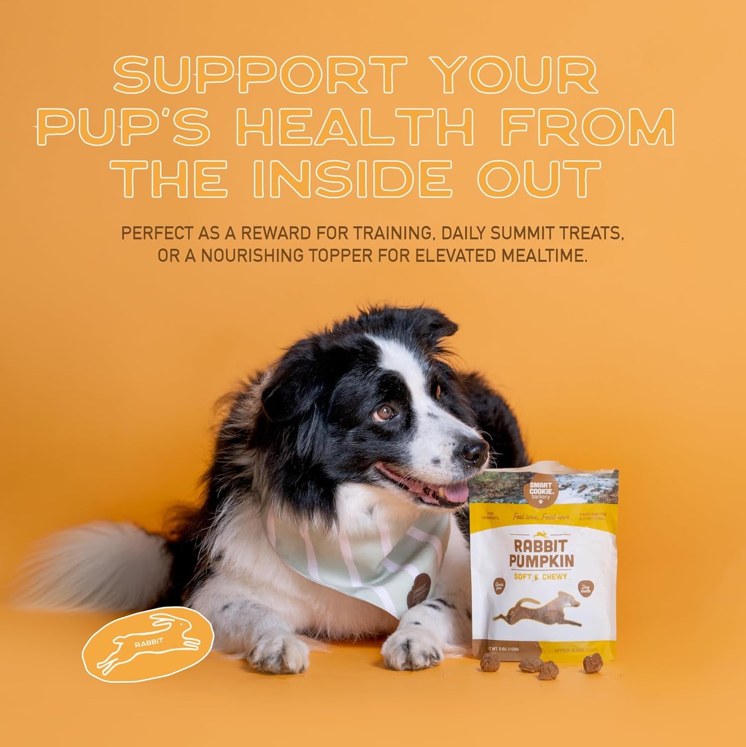 All Natural Dog Treats - Rabbit & Pumpkin - Training Treats for Dogs & Puppies with Allergies, Sensitive Stomachs - Soft Dog Treats, Grain Free, Chewy, Human-Grade, Made in USA - 5Oz Bag