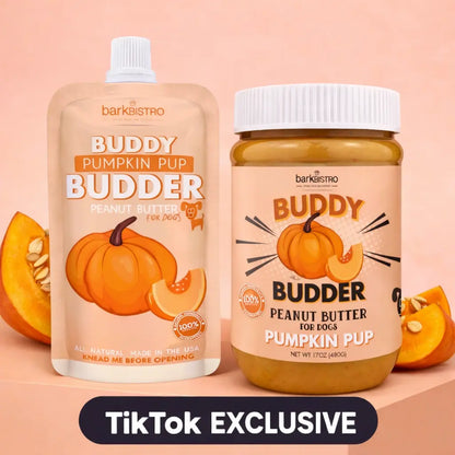 2Pk Pumpkin Pup Buddy Budder 17Oz + 4Oz Squeeze Pouch- Peanut Butter Dog Treat, All Natural, Perfect for Enrichement, Training, Treat