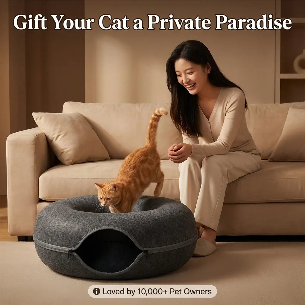 Felt Donut Cat Tunnel Bed, 2-In-1 Washable Detachable Pet Hideaway Cave, All-Season Warm Cozy Indoor Cat Sleeping Nest, Secure Zipper Design, Easy Disassembly Storage Shaped Beds