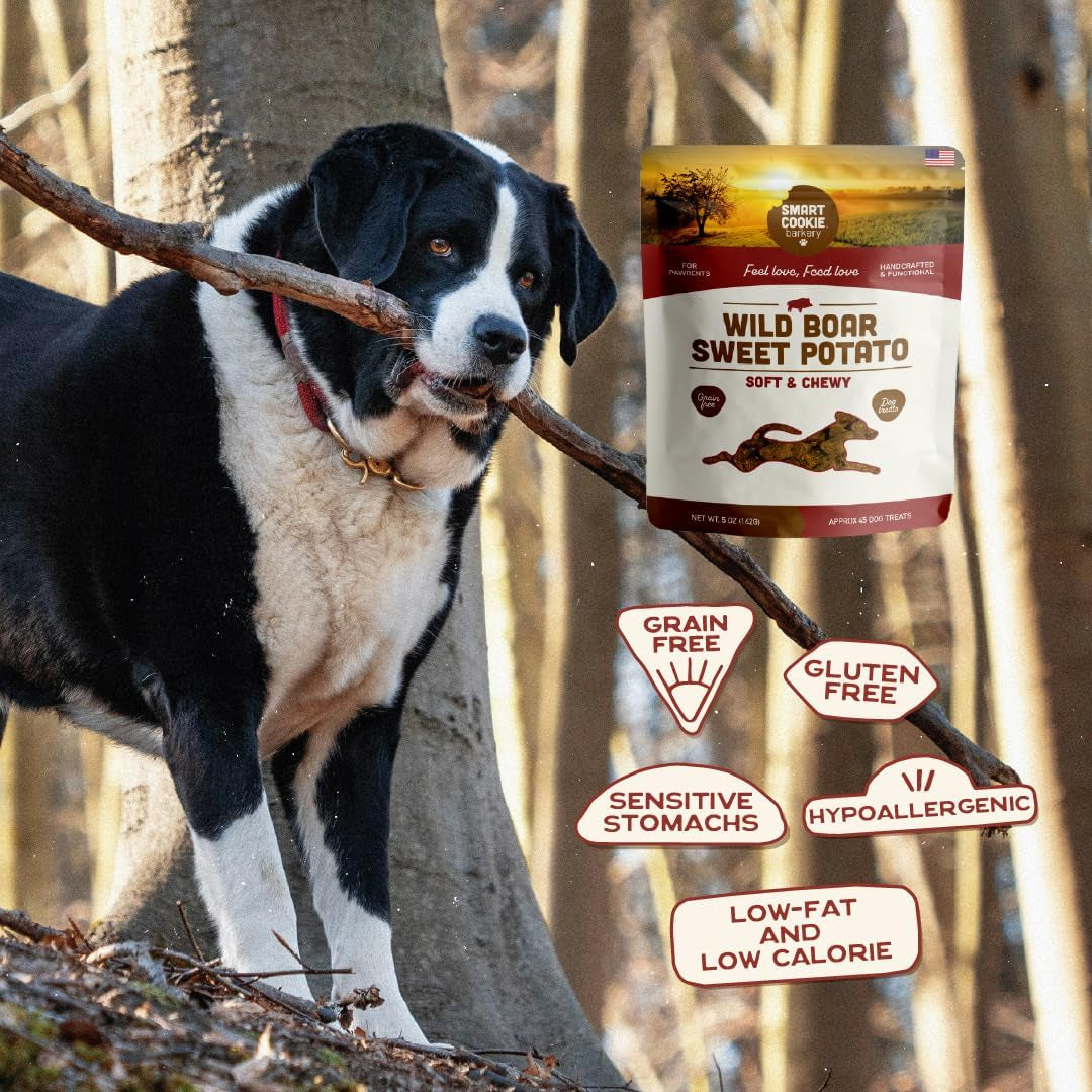 All Natural Dog Treats - Wild Boar & Sweet Potato - Training Treats for Dogs with Allergies, Sensitive Stomachs - Soft Dog Treats, Chewy, Grain Free, Human-Grade, Made in USA - 5Oz Bag