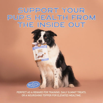 All Natural Dog Treats - Trout & Apple - Training Treats for Dogs with Allergies, Sensitive Stomachs - Soft Dog Treats, Grain Free, Chewy, Human-Grade, Made in USA - 5Oz, Pack of 3