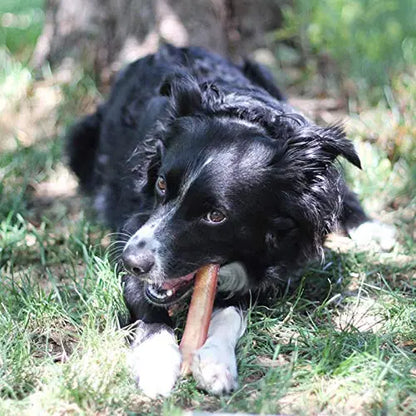 All-Natural Bully Beef Sticks (16Oz): Healthy, Odorless, Fully Digestible Dog Chews