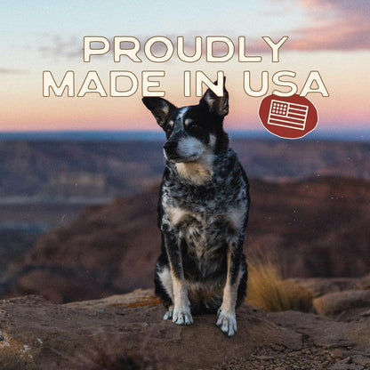 All Natural Dog Treats - Wild Boar & Sweet Potato - Training Treats for Dogs with Allergies, Sensitive Stomachs - Soft Dog Treats, Chewy, Grain Free, Human-Grade, Made in USA - 5Oz Bag